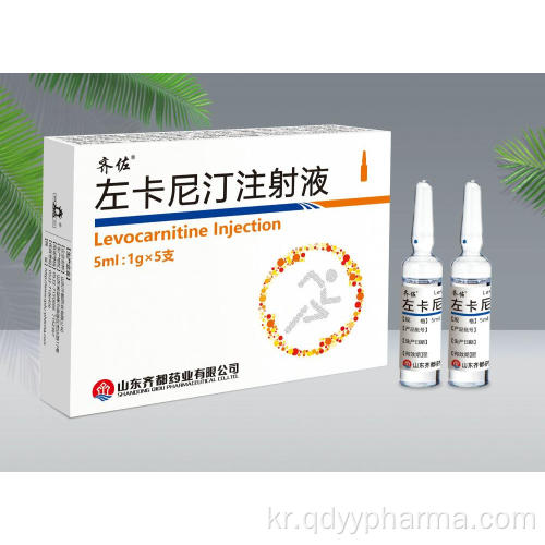 levocarnitine 주입 5ML : 1G 사내 표준